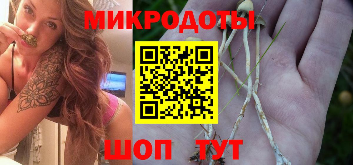 Зеленогорск  Галлюциногенные грибы MAGIC MUSHROOMS  Вход с VPN 