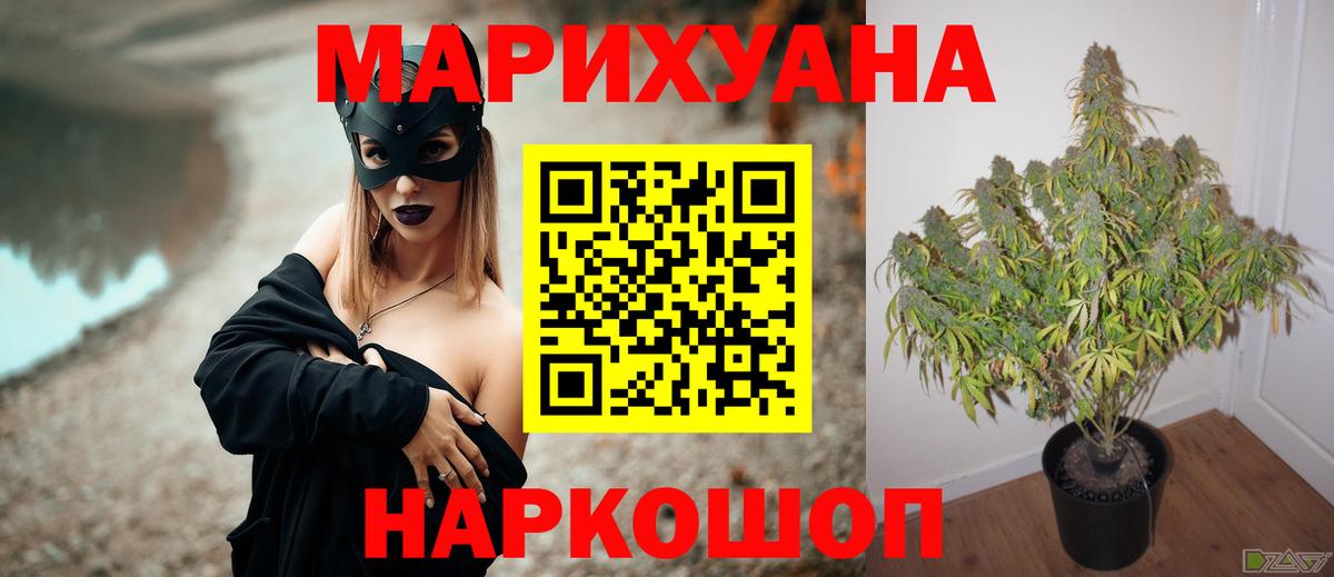 Зеленогорск  Марихуана тримм  Бошки марихуана ГИДРОПОН  Бошки марихуана MAZAR  Вход с VPN 